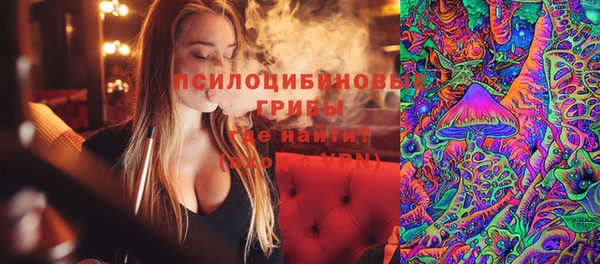 спиды Алексин
