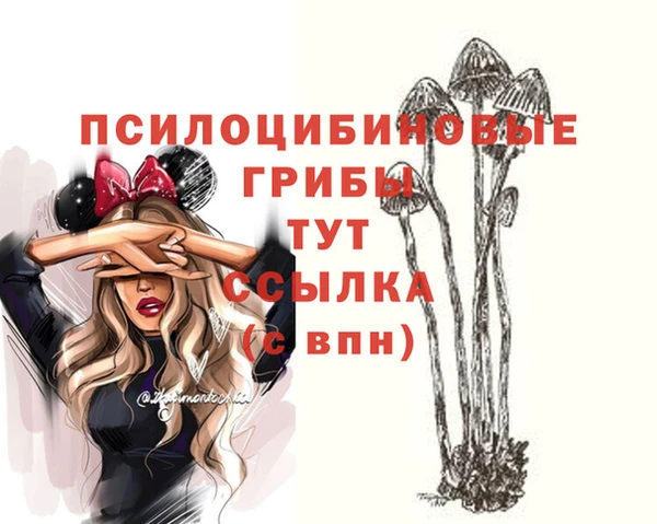 кокаин Алексеевка