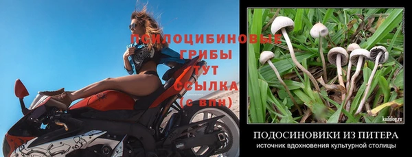 бошки Абдулино