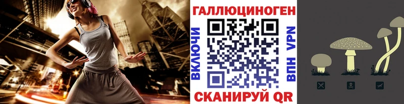 Псилоцибиновые грибы MAGIC MUSHROOMS  Елизаветинская 